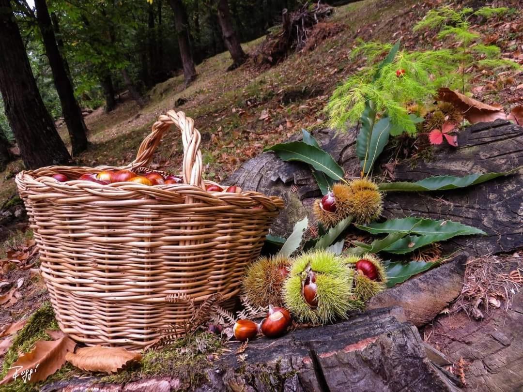 Agriturismo Prato Del Re Prignano sulla Secchia Dış mekan fotoğraf